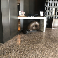 フレンチ キッチン - 