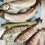 木郷滝自然つりセンター - 