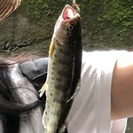 木郷滝自然つりセンター - 