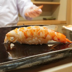 日本橋蛎殻町 すぎた - 車エビ