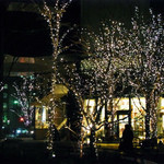 アンセンブル バイマイハンブルハウス - 