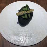 ル スプートニク - 