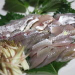 やまめ庵 - 鮎の刺身