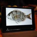 鮨匠 のむら - メイチ鯛