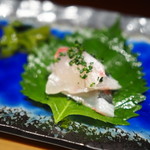 鮨匠 のむら - マアジ（シロアジ）