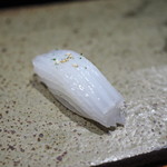 鮨匠 のむら - アオリイカ