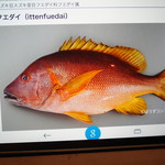 鮨匠 のむら - しろぼしフエダイ