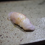 鮨匠 のむら - しろぼしフエダイ