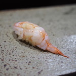 鮨匠 のむら - ナミクダヒゲエビ
