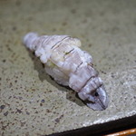 鮨匠 のむら - シャコ