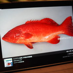 鮨匠 のむら - すじあら