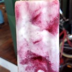 ICETACHE Frozen Yogurt Ice Candy  - 