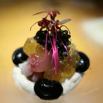 ドディチ・マッジョ - 