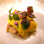 ドディチ・マッジョ - 