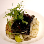 ドディチ・マッジョ - 