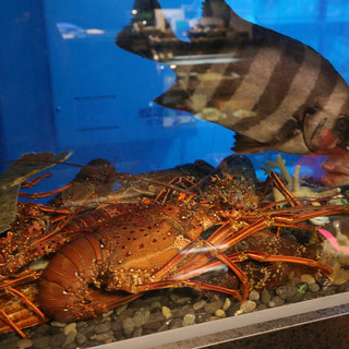 There is no compromise in the quality of Seafood which is the cornerstone of Cantonese cuisine.