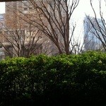 キュイジーヌ[s] ミッシェル・トロワグロ - 