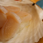 廻転寿司弁慶 - ほたて