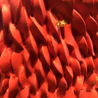 アトモス･イタリアンダイニング - 