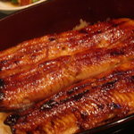 うなぎ屋 廣川 - うな重