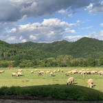 ラム肉バル 結 - 