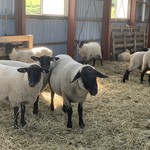 ラム肉バル 結 - 