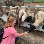 ラム肉バル 結 - 