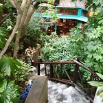 カンテ グランデ - 