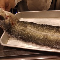 う越貞 - 