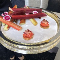 クイントカント - 