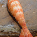 日本橋橘町　都寿司 - 