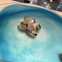 黒杉 - 