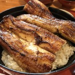 うなぎの美鶴 - 鰻丼アップ