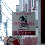 金糸雀 - 