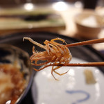 てんぷら　成生 - 