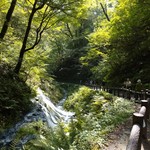 万平ホテル - ふろく    白糸の滝へ 歩きます〜〜♪