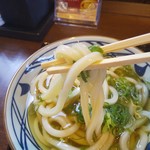 丸亀製麺 - コシの強いうどん