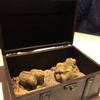 マルゴット エ バッチャーレ - 