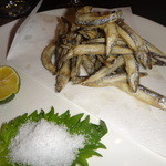 ｍｉｔｒａ⇒mitra - きびなご天ぷら