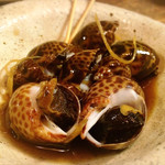 旬鮮味処 かつら - （2019年5月下旬）
      バイ貝。
      Nさんがお好きなようで。
      個人的には頼んだことないバイ貝！
      うんうん…確かにお酒に合いますなぁ(*′ω`)b