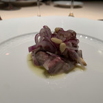 フォリオリーナ・デッラ・ポルタ・フォルトゥーナ - 