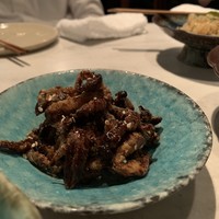 CINA New Modern Chinese - 