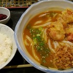 たけうちうどん店 - とり天カレーうどん ご飯セット