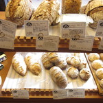 ハーバックストゥーベ - 商品（５）【撮影許諾済】