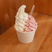 東京吉祥寺にある生フローズンヨーグルト専門店 ウッドベリーズ で珍しいギリシャヨーグルト By 月ウサギ ウッドベリーズ 本店 Woodberry S 吉祥寺 アイスクリーム 食べログ