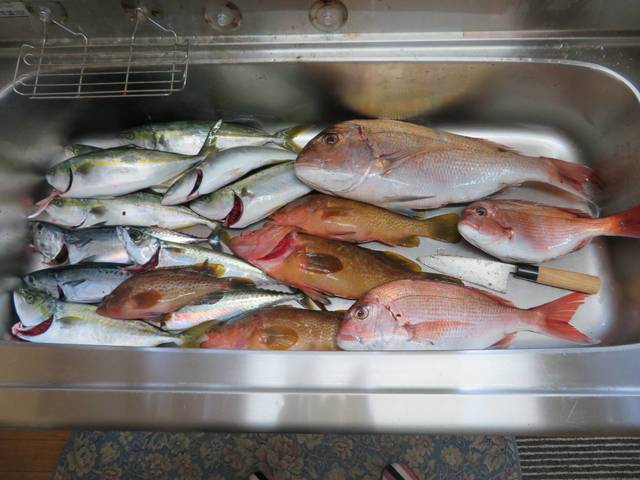 庄内魚河岸酒場 潮彩 - 鶴岡（海鮮）の写真