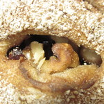 ハーバックストゥーベ - クランベリーあっぷ