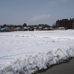 橋本かしわ店 - 