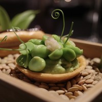 プレヴナンス - 