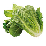 しゃぶしゃぶ温野菜 - 